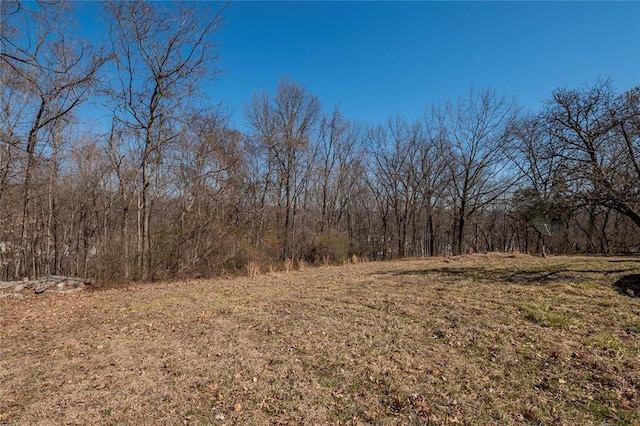 615 Corisande Hill Rd, Fenton, MO 63026 - view of tree filled area