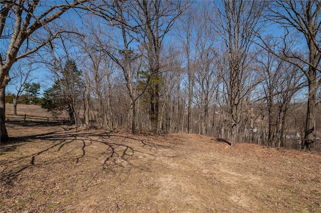 615 Corisande Hill Rd, Fenton, MO 63026 - view of yard