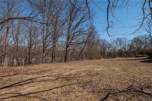 615 Corisande Hill Rd, Fenton, MO 63026 - view of yard