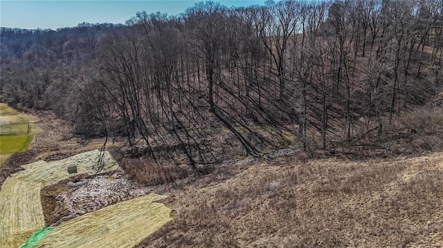 615 Corisande Hill Rd, Fenton, MO 63026 - view of tree filled area