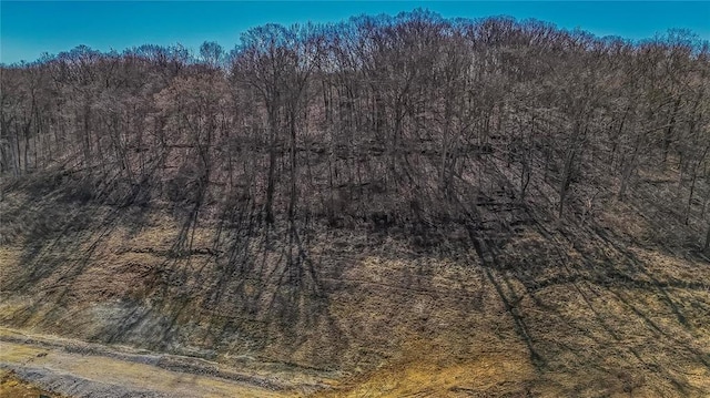 615 Corisande Hill Rd, Fenton, MO 63026 - bird's eye view of a heavily wooded area