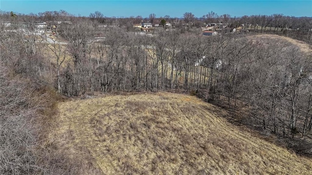 615 Corisande Hill Rd, Fenton, MO 63026 - view of nature