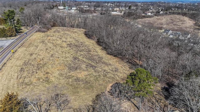 615 Corisande Hill Rd, Fenton, MO 63026 - drone / aerial view