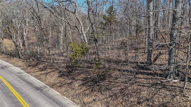 615 Corisande Hill Rd, Fenton, MO 63026 - view of asphalt road with a forest view