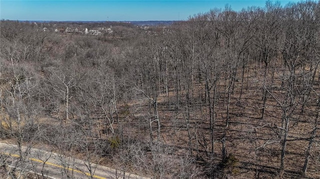 615 Corisande Hill Rd, Fenton, MO 63026 - view of mountain backdrop with a forest