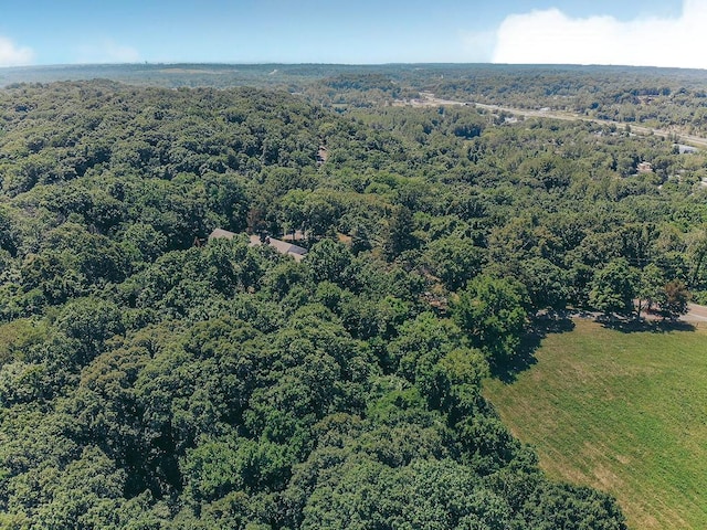 615 Corisande Hill Rd, Fenton, MO 63026 - drone / aerial view of a forest