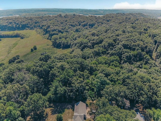 615 Corisande Hill Rd, Fenton, MO 63026 - drone / aerial view of a forest