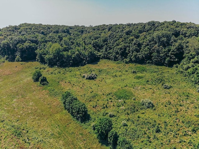 615 Corisande Hill Rd, Fenton, MO 63026 - bird's eye view of a forest