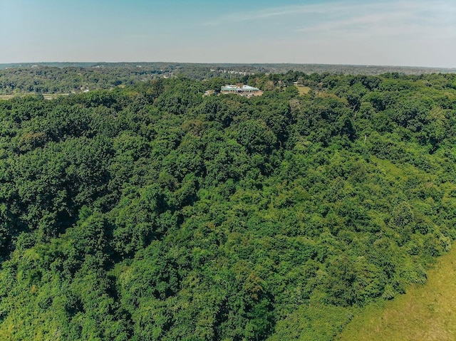 615 Corisande Hill Rd, Fenton, MO 63026 - bird's eye view of a forest