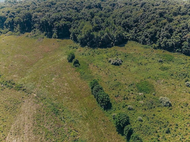 615 Corisande Hill Rd, Fenton, MO 63026 - aerial view of property and surrounding area