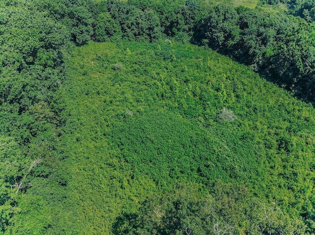 615 Corisande Hill Rd, Fenton, MO 63026 - aerial overview of property's location with a forest
