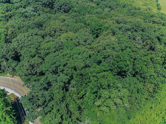 615 Corisande Hill Rd, Fenton, MO 63026 - aerial overview of property's location with a forest