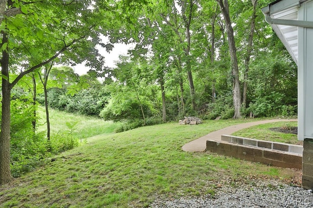542 Meramec Station Rd Unit C, Valley Park, MO 63088 - view of green lawn