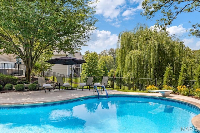 4388 Austin Pass Dr, Saint Charles, MO 63304 - view of pool featuring a patio area