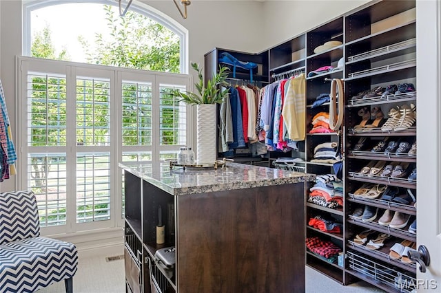 4388 Austin Pass Dr, Saint Charles, MO 63304 - view of walk in closet