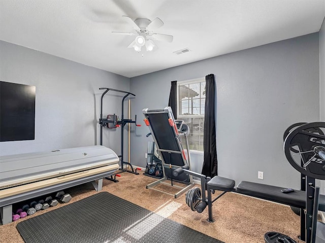 109 N 7th St, Owensville, MO 65066 - exercise area with carpet flooring and a ceiling fan