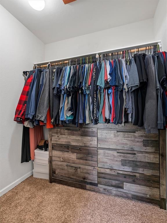 109 N 7th St, Owensville, MO 65066 - spacious closet with carpet flooring