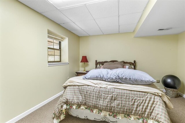 2017 Foxboro Rd, Festus, MO 63028 - photo 47