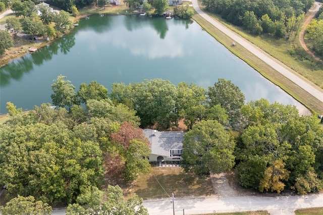 1594 Rue Calais, Bonne Terre, MO 63628 - view of property location with a nearby body of water