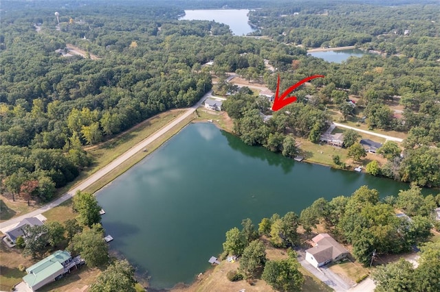 1594 Rue Calais, Bonne Terre, MO 63628 - aerial overview of property's location featuring a forest and a nearby body of water