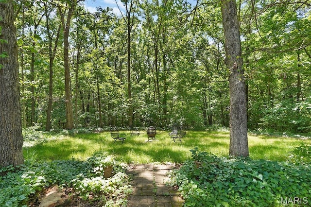 238 Skyway Dr, New Haven, MO 63068 - view of tree filled area