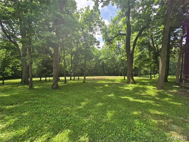 175 State Route 4, Saint Jacob, IL 62281 - view of green lawn