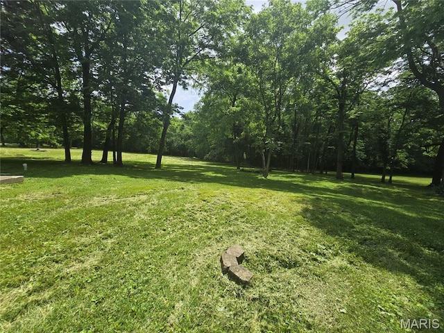 175 State Route 4, Saint Jacob, IL 62281 - view of green lawn