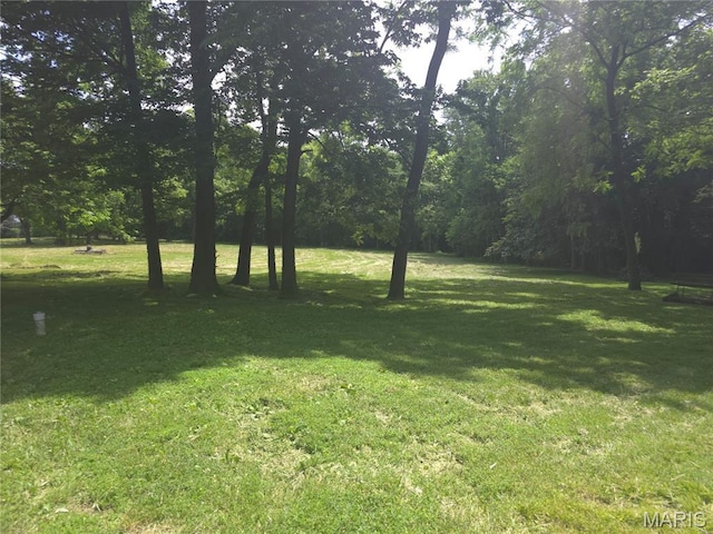 175 State Route 4, Saint Jacob, IL 62281 - view of grassy yard