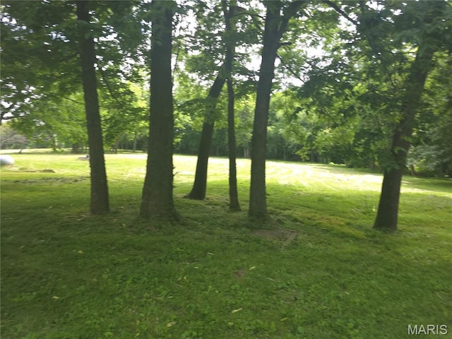 175 State Route 4, Saint Jacob, IL 62281 - view of green lawn