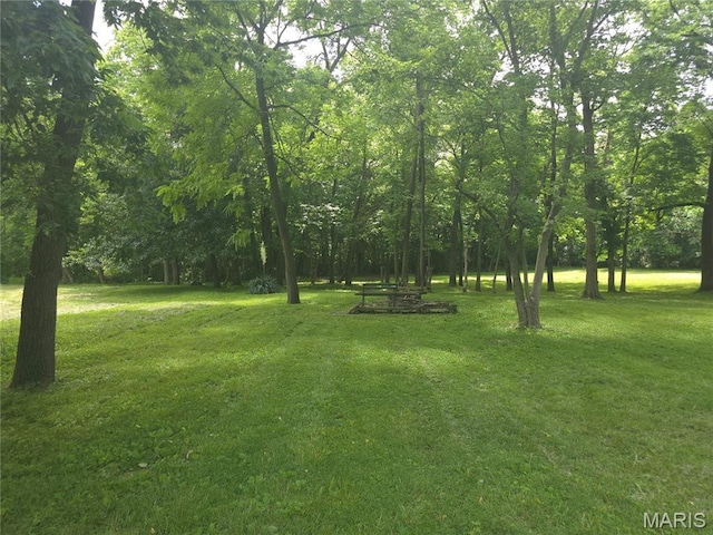 175 State Route 4, Saint Jacob, IL 62281 - view of grassy yard