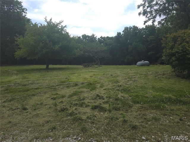 175 State Route 4, Saint Jacob, IL 62281 - view of grassy yard with a forest view