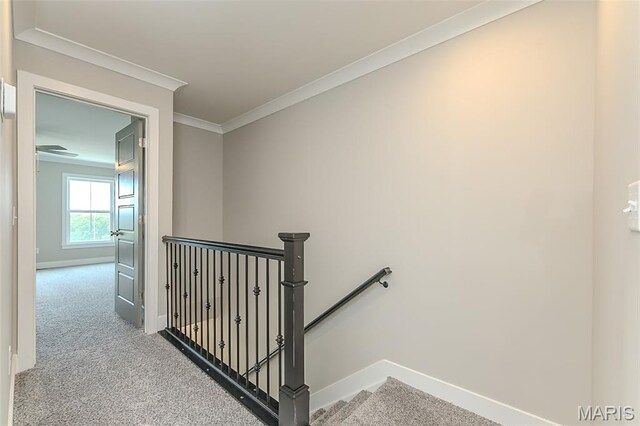 8919 E Gateway Hts Unit 94-804, Richmond Heights, MO 63144 - stairs with carpet and ornamental molding