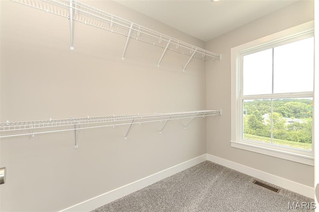 8919 E Gateway Hts Unit 94-804, Richmond Heights, MO 63144 - walk in closet with carpet flooring