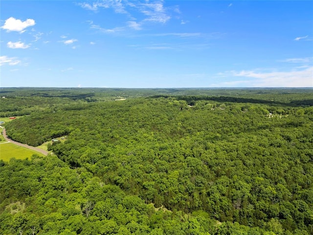 0 Victoria Rd, Festus, MO 63028 - photo 7