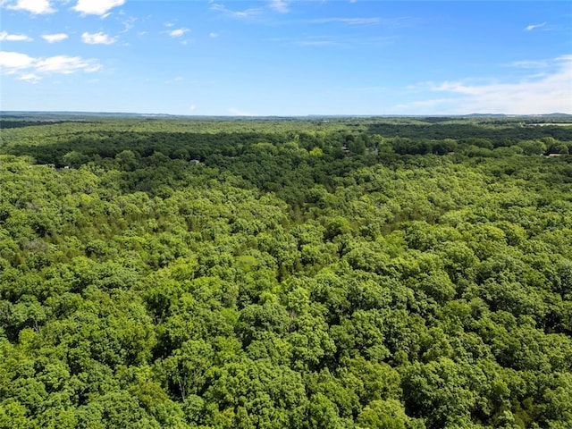 0 Victoria Rd, Festus, MO 63028 - photo 9
