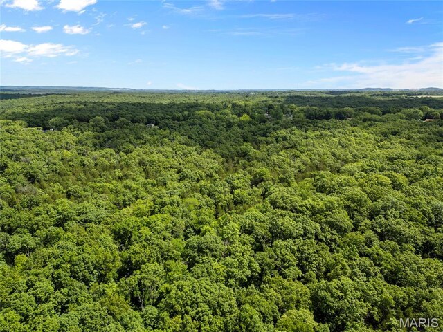 0 Victoria Rd, Festus, MO 63028 - photo 11