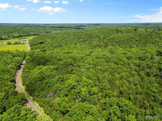 0 Victoria Rd, Festus, MO 63028 - photo 12