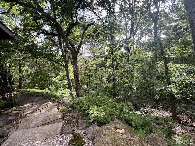 37 Hillside Dr, Pacific, MO 63069 - photo 4