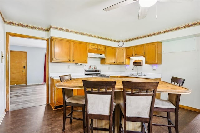 1961 E Union Ave, Litchfield, IL 62056 - kitchen with range with gas cooktop, under cabinet range hood, a sink, and baseboards