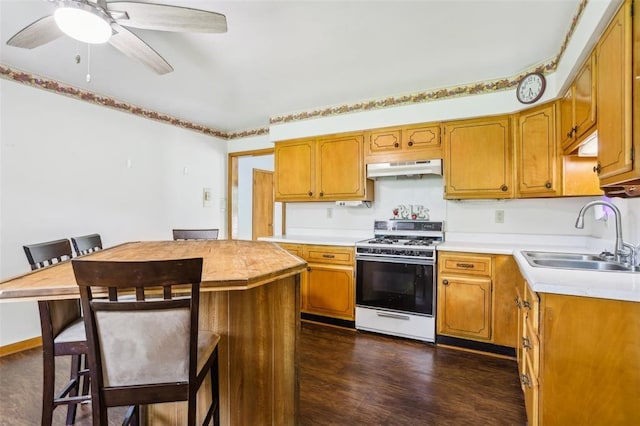 1961 E Union Ave, Litchfield, IL 62056 - kitchen with gas range gas stove, a sink, light countertops, dark wood-style floors, and ceiling fan