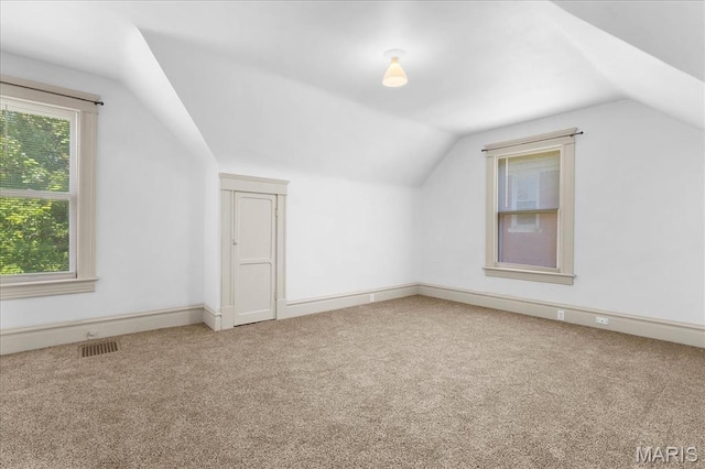 207 Voss Pl, Belleville, IL 62220 - bonus room featuring lofted ceiling, carpet, and baseboards