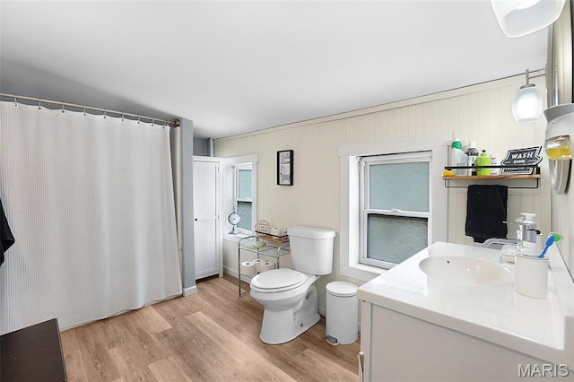 401 S Main St, New Florence, MO 63363 - bathroom with toilet, wood finished floors, vanity, and a shower with curtain