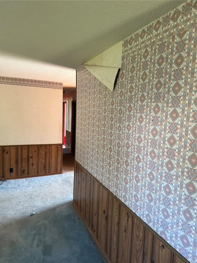 319 Bronaugh, Morley, MO 63767 - carpeted spare room featuring wainscoting, wallpapered walls, and wooden walls