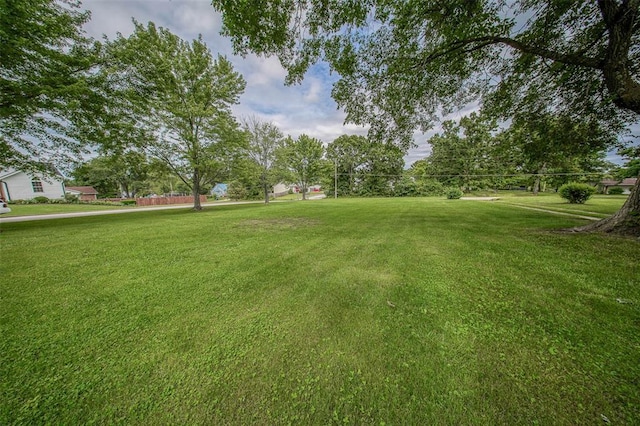 1707 S Mcarthur Ave, Salem, MO 65560 - view of green lawn