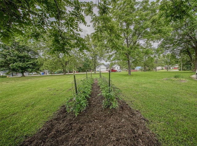 1707 S Mcarthur Ave, Salem, MO 65560 - view of grassy yard