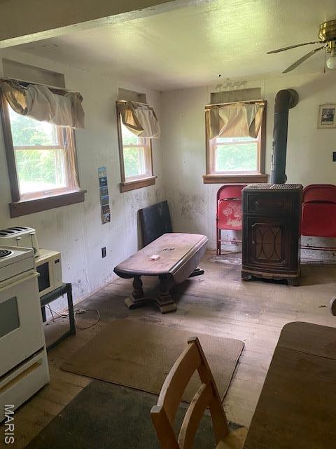 8048 Riverview Dr, Dittmer, MO 63023 - living area with a wood stove, hardwood / wood-style floors, and ceiling fan