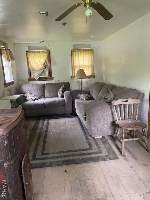 8048 Riverview Dr, Dittmer, MO 63023 - living room featuring hardwood / wood-style floors and ceiling fan