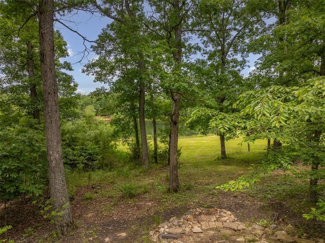 2441 Alpine Lake Dr, Innsbrook, MO 63390 - view of undeveloped land