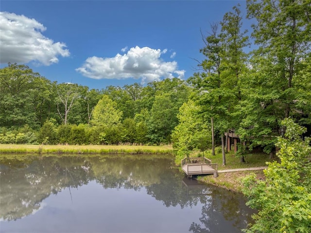 2441 Alpine Lake Dr, Innsbrook, MO 63390 - water view with a forest