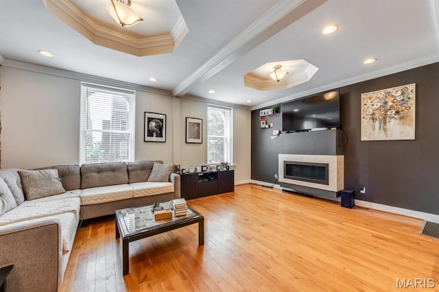 2628 Indiana Ave, Saint Louis, MO 63118 - living area featuring hardwood / wood-style floors, a tray ceiling, ornamental molding, a glass covered fireplace, and baseboards